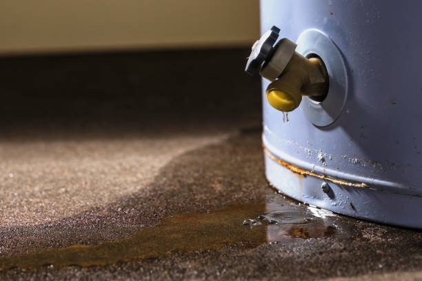 Best Fire Damage Restoration  in Bernalillo, NM