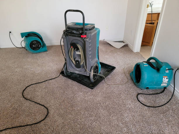 Best Emergency water damage restoration  in Bernalillo, NM