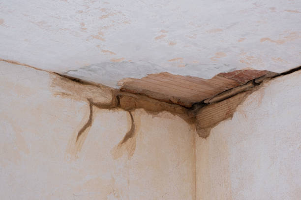 Carpet water damage restoration in NM