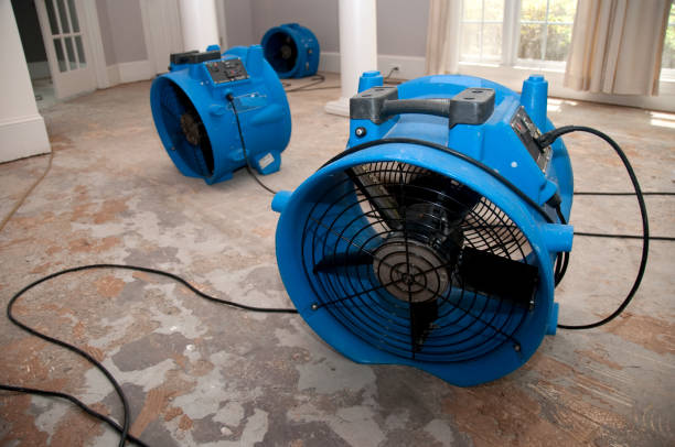 Best Professional water damage repair  in Bernalillo, NM