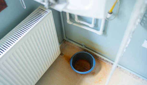 Best Ceiling water damage repair  in Bernalillo, NM